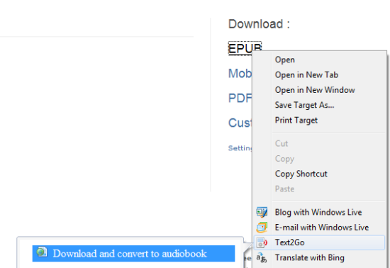 Text2Go ebook to audiobook accelerator for IE8